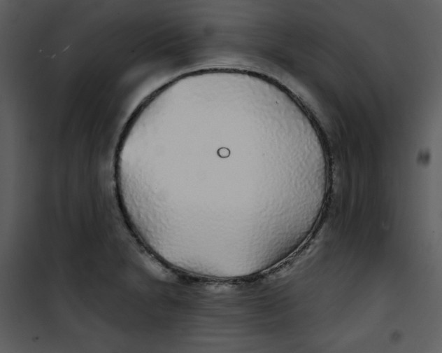 X0000100841230200807180913