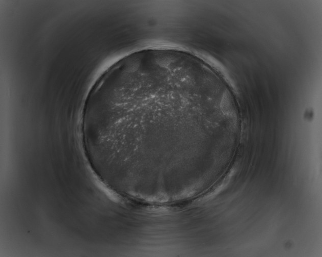 X0000100841231200807180913