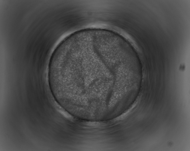 X0000100841232200807180913