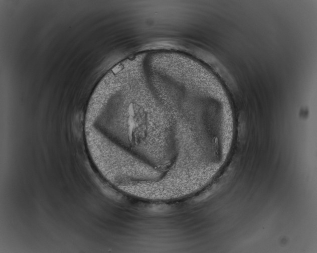 X0000100841233200807180913