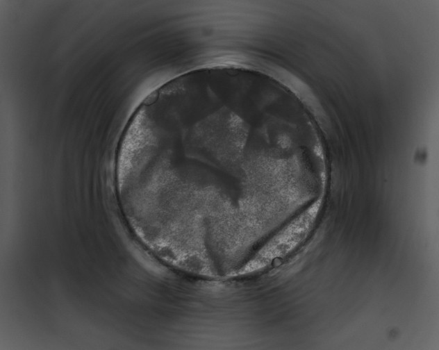 X0000100841234200807180913