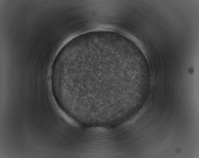 X0000100841235200807180913