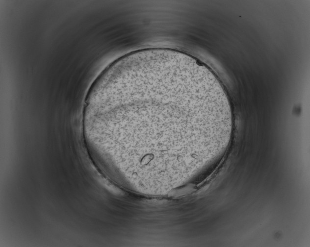 X0000100841236200807180913