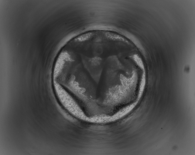 X0000100841237200807180913