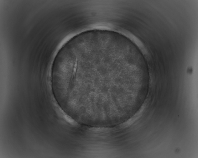 X0000100841240200807180913