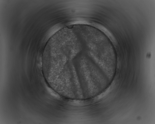 X0000100841241200807180913