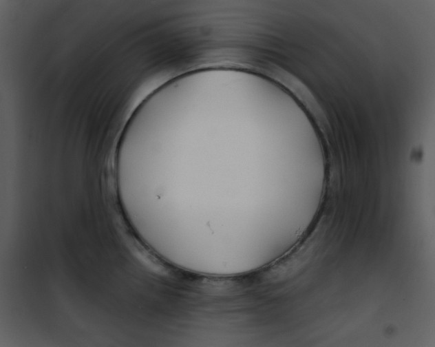 X0000100841242200807180913