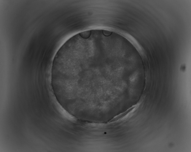 X0000100841244200807180913