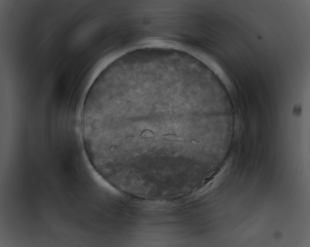 X0000100841247200807180913