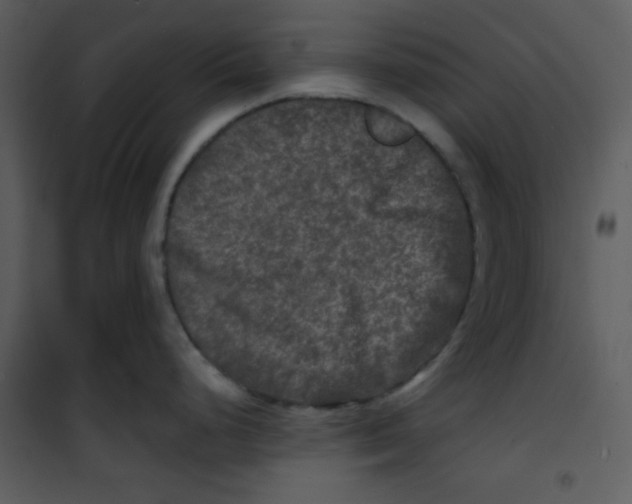 X0000100841248200807180913