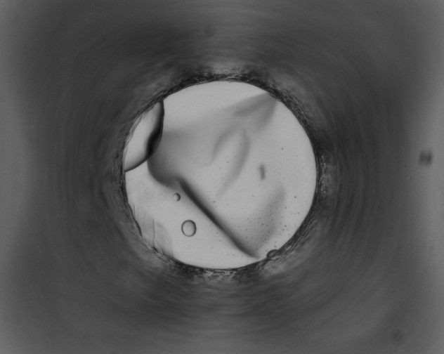 X0000100841249200807180912