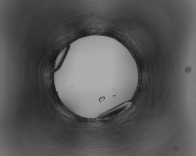 X0000100841250200807180912