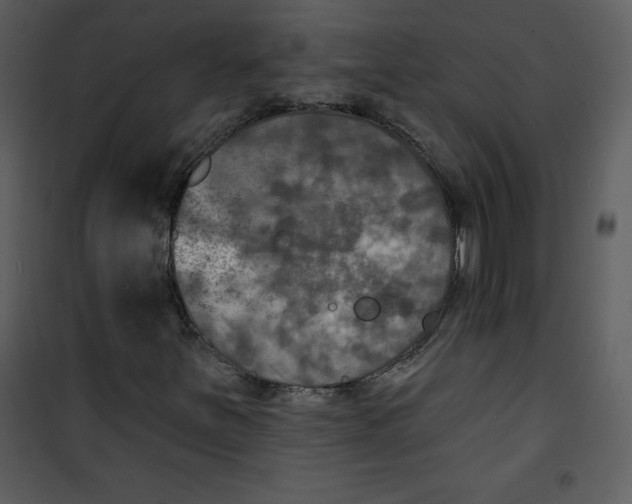 X0000100841251200807180912