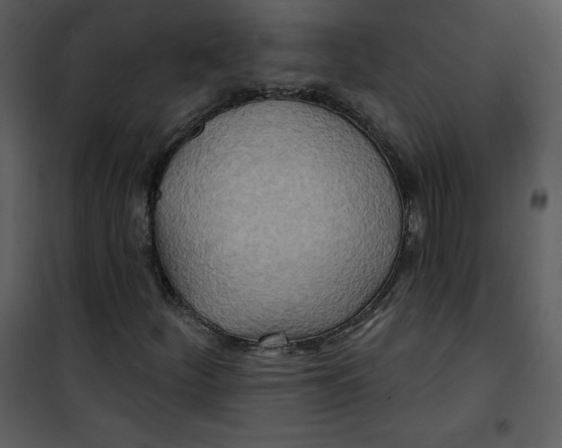 X0000100841252200807180912