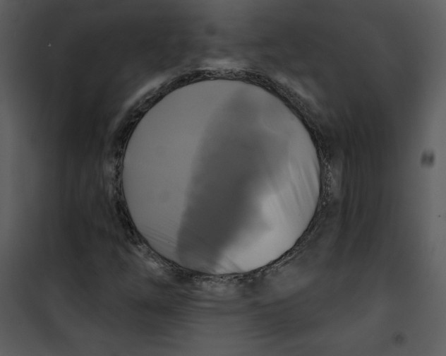 X0000100841254200807180912