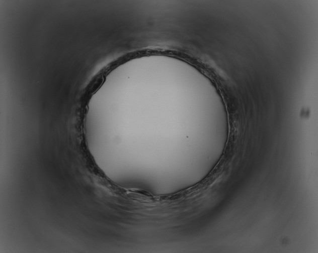 X0000100841256200807180912