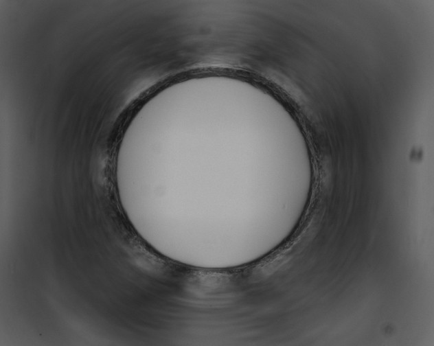 X0000100841258200807180912