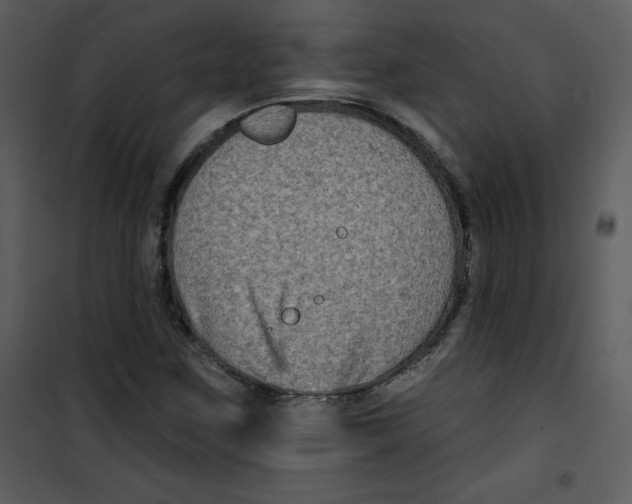 X0000100841259200807180912