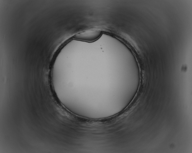 X0000100841260200807180912