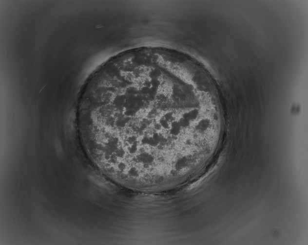 X0000100841263200807180912