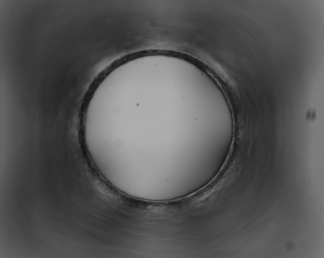 X0000100841264200807180912