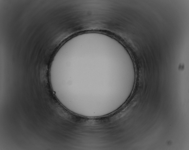 X0000100841265200807180912