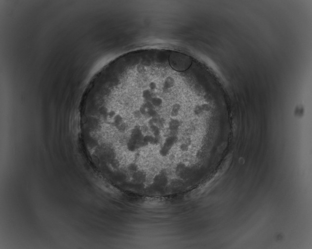 X0000100841267200807180912