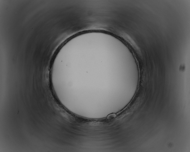 X0000100841268200807180912