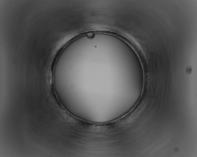 X0000100841269200807180912