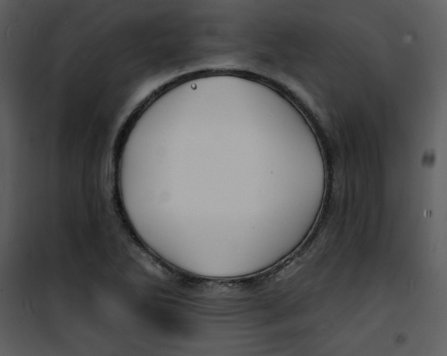 X0000100841270200807180912