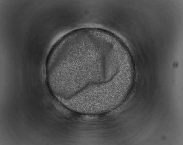 X0000100841271200807180912