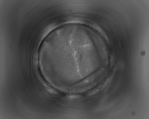 X0000100841274200807180912