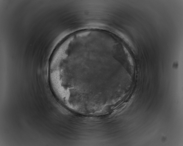 X0000100841275200807180912