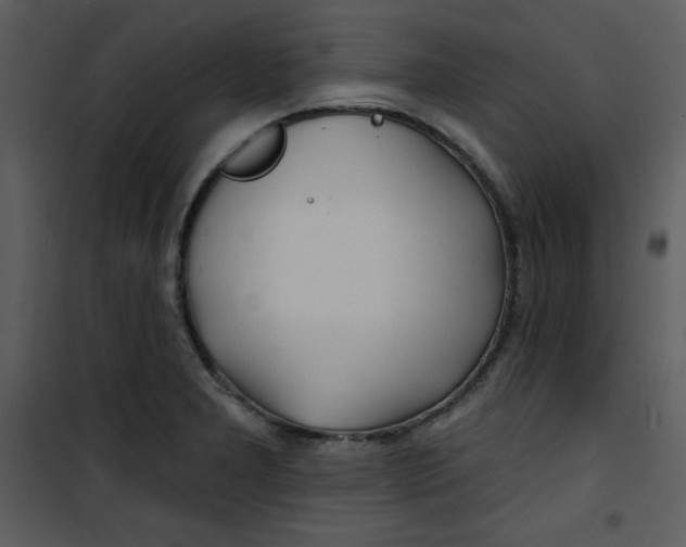 X0000100841277200807180912