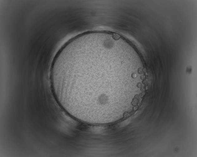 X0000100841278200807180912