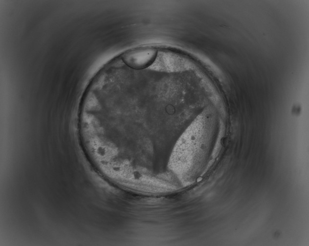 X0000100841279200807180912