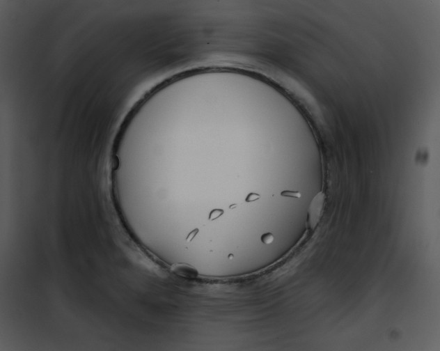 X0000100841280200807180912