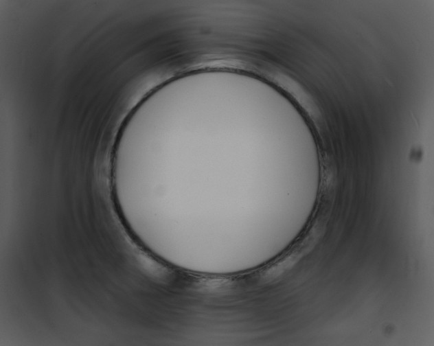 X0000100841282200807180912