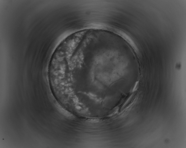 X0000100841283200807180912