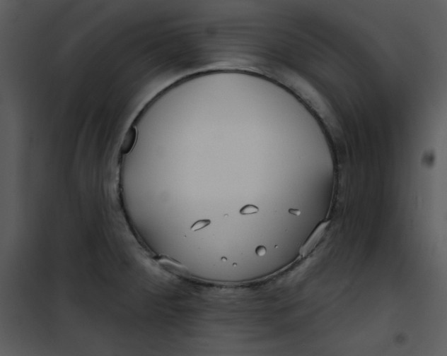 X0000100841284200807180912