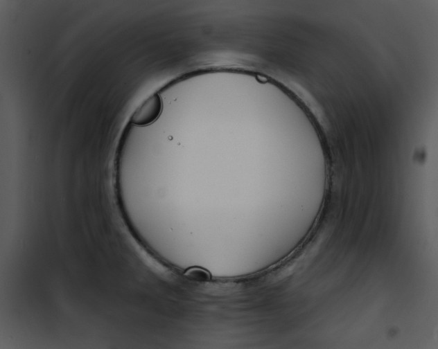 X0000100841285200807180912