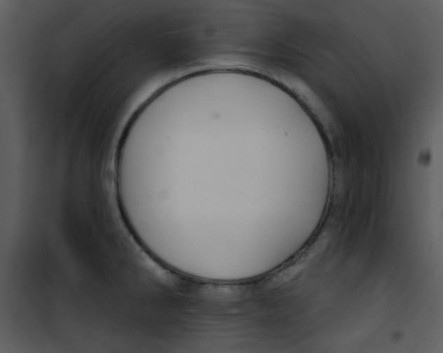 X0000100841286200807180912