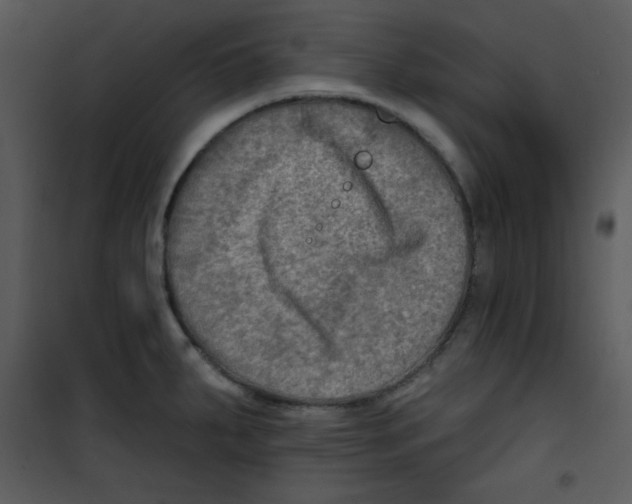 X0000100841287200807180912