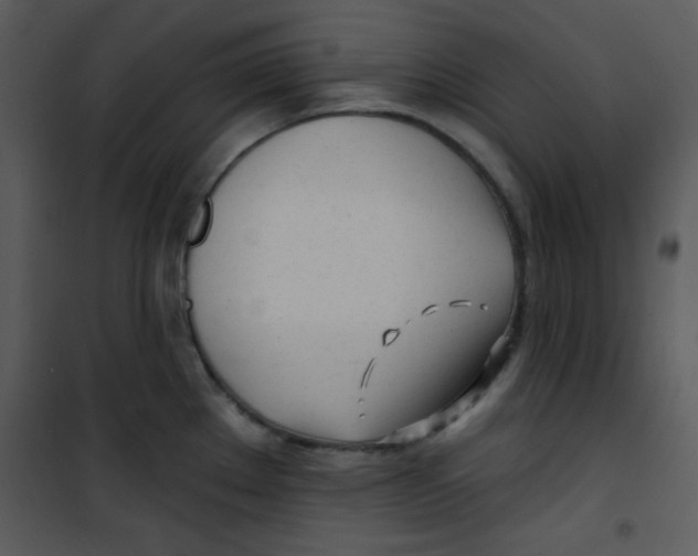 X0000100841289200807180912