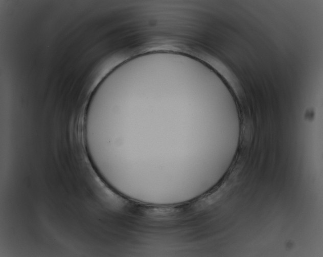 X0000100841290200807180912