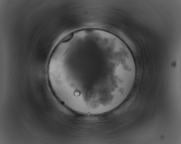 X0000100841291200807180912