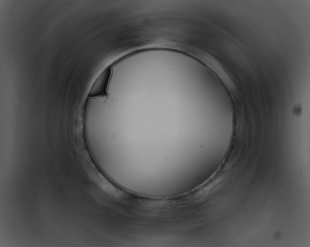 X0000100841292200807180912