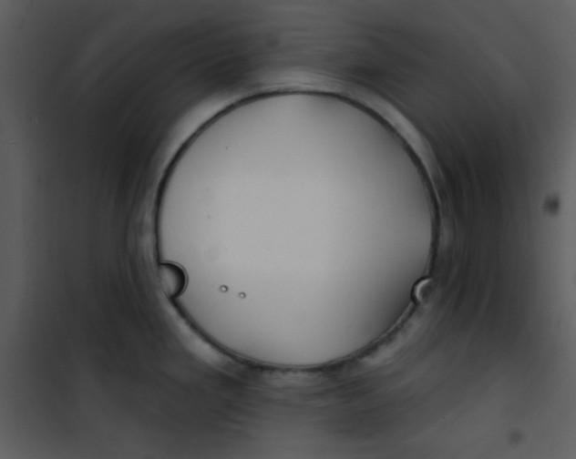 X0000100841293200807180912