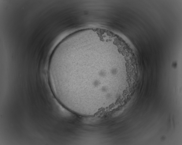 X0000100841294200807180912