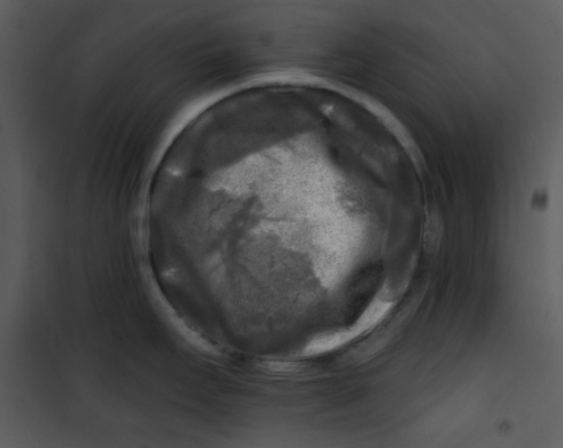 X0000100841295200807180912